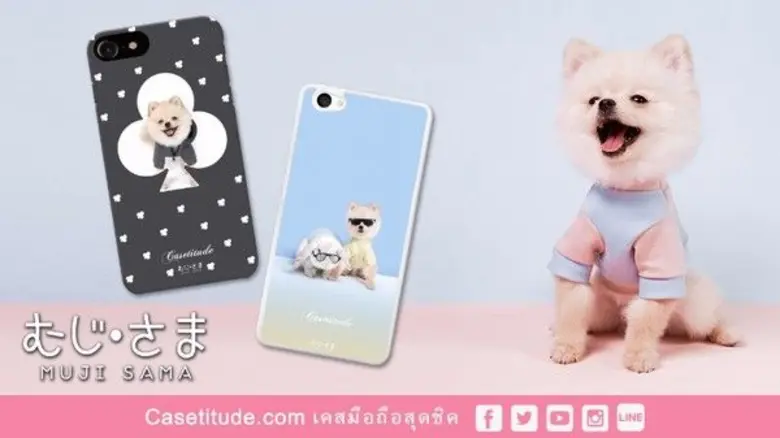 จัดไปชุดใหญ่ไฟกระพริบ กรีสสส!! ... ลายน้อ...