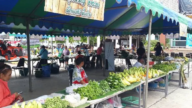 สหกรณ์การเกษตรลำพระเพลิง จำกัด เปิดตลาดนัดเพื่อเกษตรกรสนับสนุนสินค้าเกษตรปลอดภัย