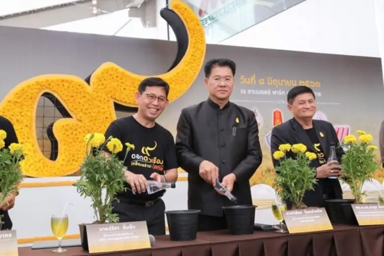 เมืองย่าโมรวมใจทุกบ้านปลูกดอกดาวเรืองเหลืองอร่ามที่...โคราช