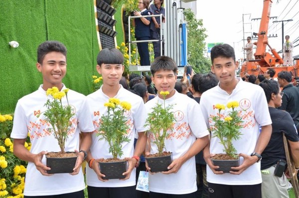 เมืองย่าโมรวมใจทุกบ้านปลูกดอกดาวเรืองเหลืองอร่ามที่...โคราช