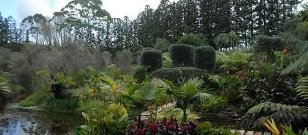 ท่องสวนพฤกษศาสตร์ สัมผัสสวนสวยแห่งฤดูใบไม้ผลิ ในนิวซีแลนด์