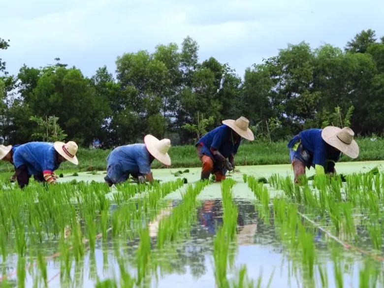 “เครือสหพัฒน์” ร่วมใจประกาศเจตนารมณ์สานพลังประชารัฐ โชว์ไอเดียโครงการเด่น สร้างประเทศให้เข้มแข็งอย่างยั่งยืน ในงาน “สหกรุ๊ปแฟร์ ครั้งที่ 21”