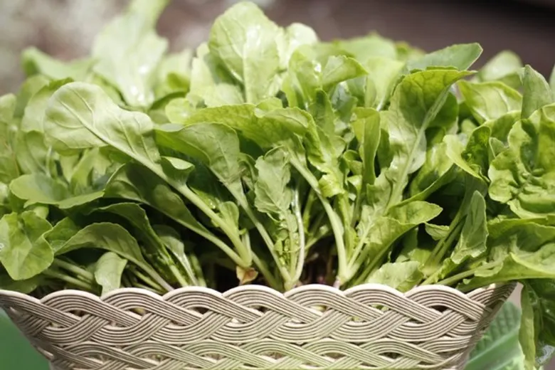เปิดตัว “Sustainable Food Lab Thailand” แล็บอาหารยั่งยืน ครั้งแรกในประเทศไทย