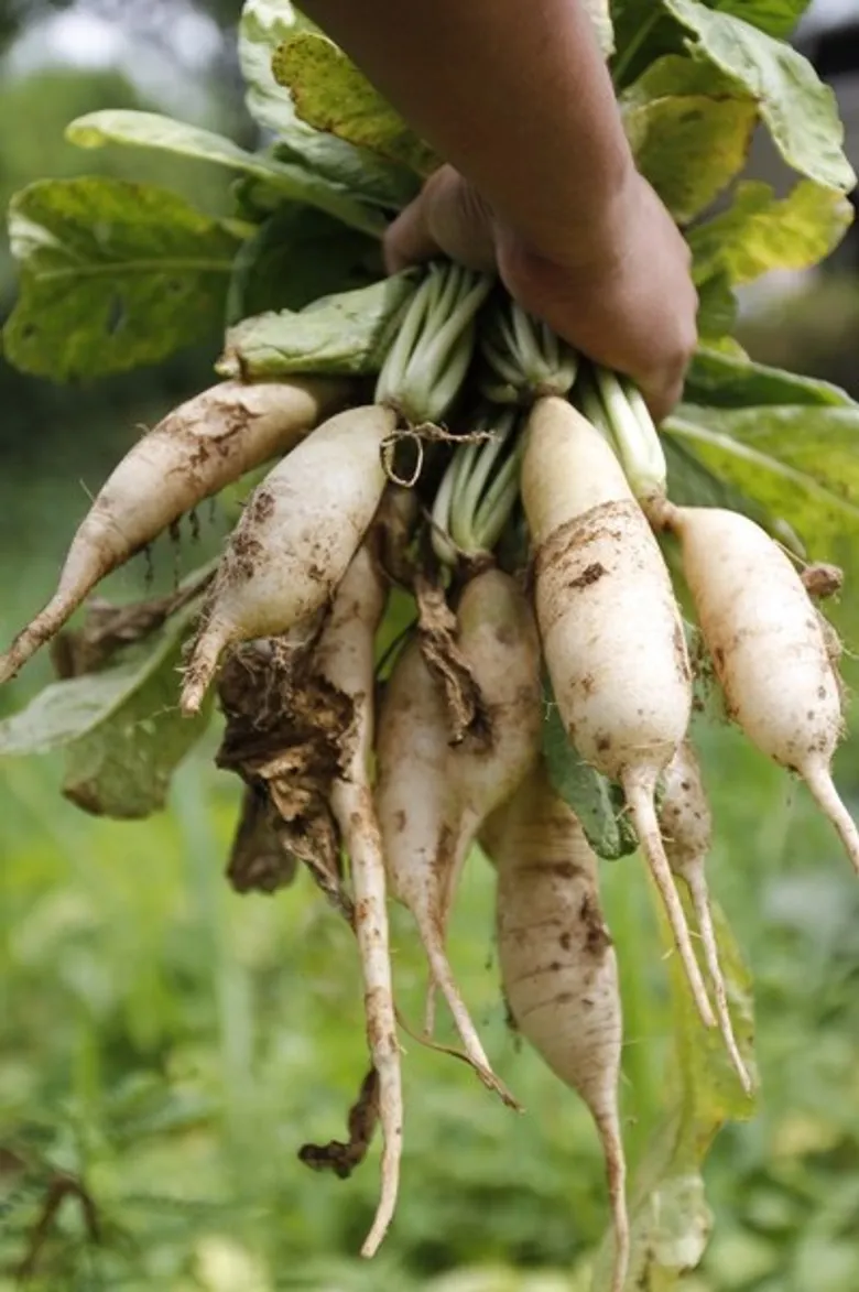 เปิดตัว “Sustainable Food Lab Thailand” แล็บอาหารยั่งยืน ครั้งแรกในประเทศไทย