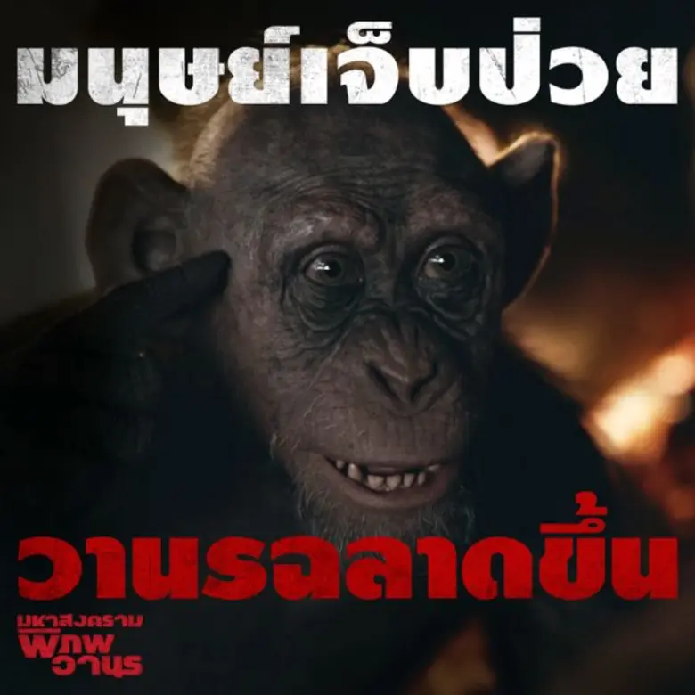 เป็นอีกหนึ่งคลิปที่แฟน ๆ ไม่ควรพลาด สำหรั...
