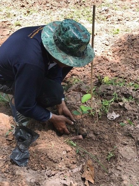 กระทรวงวิทยาศาสตร์และเทคโนโลยี สำนักงานพั...