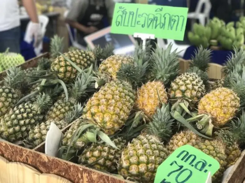 กระแสสินค้าเกษตรอินทรีย์ กำลังได้รับความส...