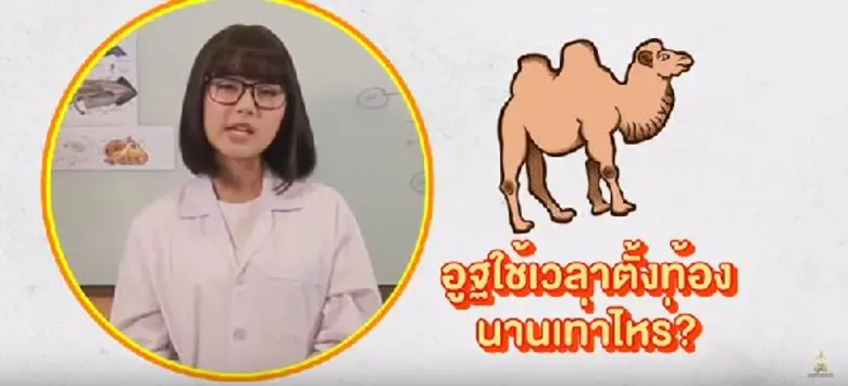 "พลอย ศรนรินทร์ โชว์ทดลองเพศศึกษาสัตว์โลกพิสูจน์คว่ทเป็นเลิศใน15+ไอคิวกระฉูด"