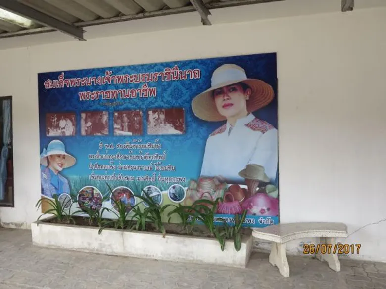 ผลิตภัณฑ์จักสานป่านศรนารายณ์สร้างอาชีพมั่นคง สหกรณ์การเกษตรหุบกะพง จำกัด ขยายพื้นที่แปลงใหญ่เพื่อใช้เป็นวัตถุดิบสร้างงานหัตถกรรม