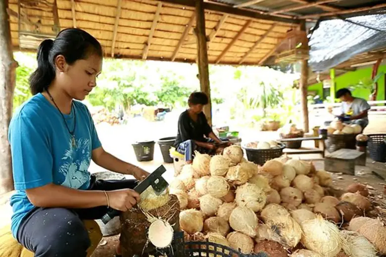 รายการ "สานรัก คนเก่งหัวใจแกร่ง" อาทิตย์น...