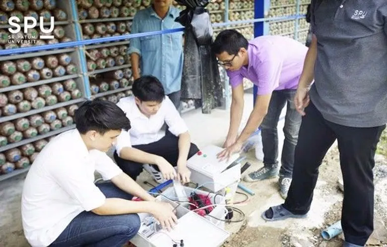 SPU: นศ.ไอที ม.ศรีปทุม เรียนกับตัวจริง ประสบการณ์จริง “โรงเห็ดต้นแบบอัจฉริยะ”