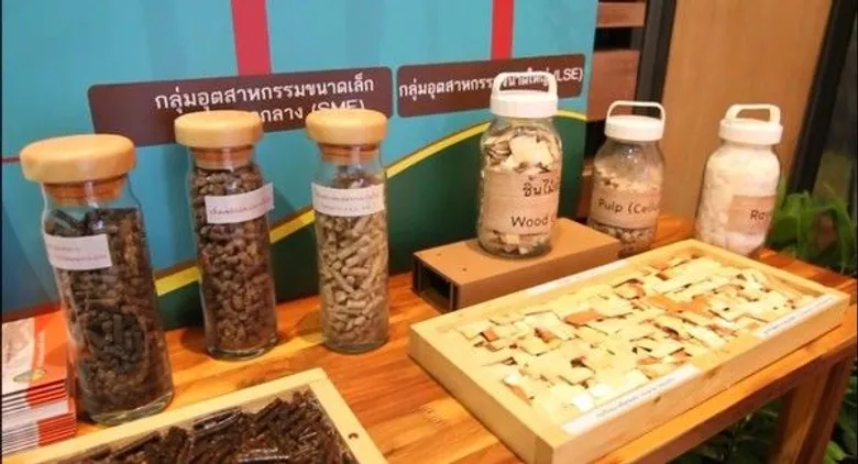 โครงการจัดทำยุทธศาสตร์และแผนงานการส่งเสริมไม้เศรษฐกิจแบบครบวงจร ( พ.ศ. 2561 -2579)