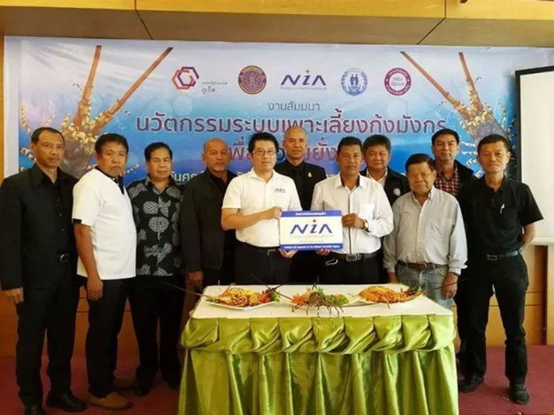 สนช. ร่วมกับ วิสาหกิจชุมชนเกาะโหลน จับมือจังหวัดภูเก็ต และประชารัฐ ร่วมสร้างนวัตกรรมระบบการเพาะเลี้ยงกุ้งมังกรเจ็ดสีที่มีสารโอเมก้า-3 แบบครบวงจร