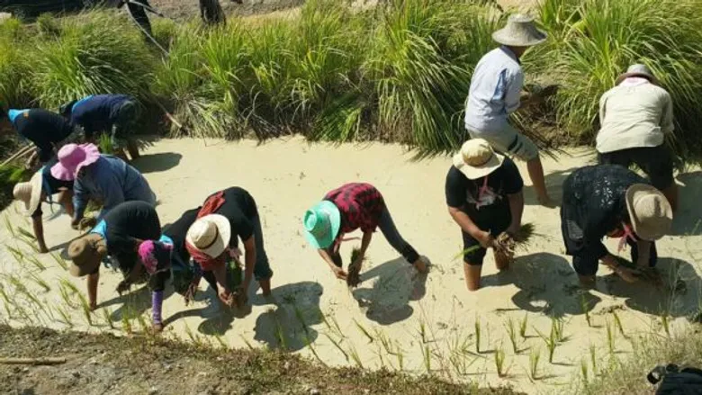 เชฟรอนสนับสนุนครอบครัวปลอดหนี้ สู่วิถีพอเพียง พัฒนาคุณภาพชีวิตด้วยศาสตร์พระราชา