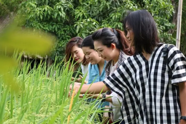 มูลนิธิสังคมสุขใจ ร่วมกับ กลุ่มมิตรผล ปั้นชุมชนสู่ผู้ประกอบการเกษตรอินทรีย์ เชื่อมอาหารปลอดภัยจากฟาร์มสู่โรงงาน