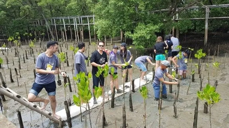 SPU: นศ.นิเทศฯ ป.โท ม.ศรีปทุม จิตอาสา ร่วมใจพัฒนาปลูกป่าชายเลน