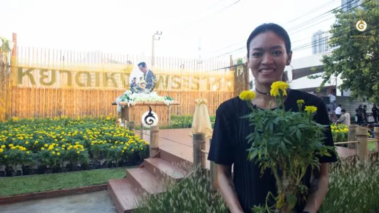 ไม่มีหยาดเหงื่อใดในศตวรรษนี้ที่ให้คนไทยมากกว่า "หยาดเหงื่อพระราชา" ดาราศิลปินเชิญชวนร่วมงาน "หยาดเหงื่อพระราชา” ชวนชาวไทยร่วมร้อยใจ ปลูกดาวเรือง 1 ตค.นี้