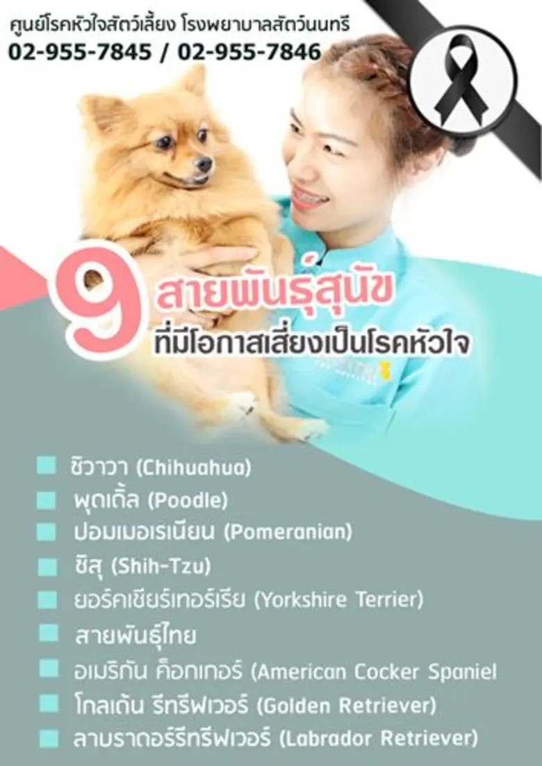 ด้วยความรักและห่วงใยสัตว์เลี้ยงของท่าน อย...