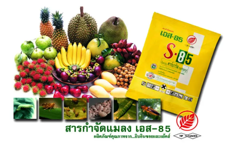 บริษัท ยิบอินซอยและแย๊คส์ จำกัด บริษัทชั้...