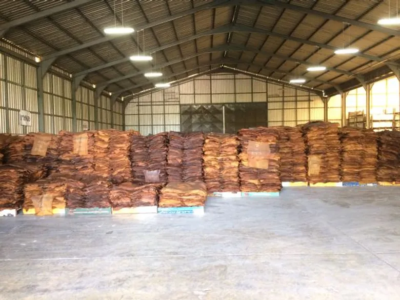กยท.จ.ตรัง จับมือสหกรณ์การเกษตรย่านตาขาว และสำนักงานตลาดกลางยางพารา จ.สงขลา เปิดตลาดเครือข่ายตลาดกลางยางพาราแห่งแรกของไทย