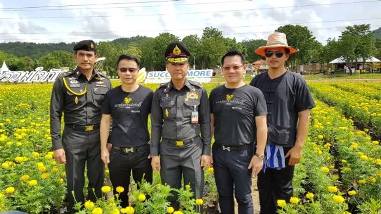 โอกาสครั้งประวัติศาสตร์ เปิดให้เข้าชมแล้ว “ทุ่งดาวเรือง รวมใจภักดิ์ บานสะพรั่ง ๔๕๐,๐๐๐ ต้น พร้อมเลข ๙ ใหญ่ที่สุดในประเทศไทย ถวายเป็นราชสักการะ เนื่องในพระราชพิธีถวายพระเพลิงพระบรมศพในหลวงรัชกาลที่ ๙