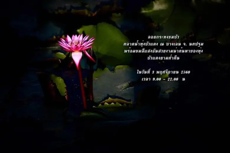 งาน “ลอยกระทงชมบัว ตลาดน้ำทุ่งบัวแดง ณ บางเลน” วันศุกร์ที่ 3 พฤศจิกายน 2560 เวลา 09.00 - 22.00 น. ณ ตลาดน้ำทุงบัวแดง อ.บางเลน จ.นครปฐม