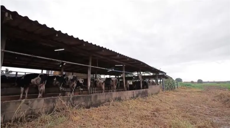 สานต่ออาชีพที่พ่อให้ ใน หนองโพ ๙ ตามพระราชปณิธาน สานต่ออาชีพที่พ่อให้