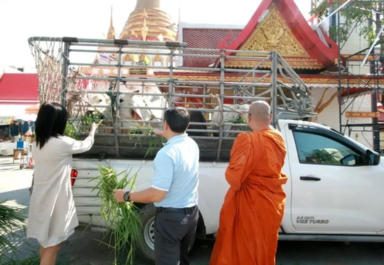 ตลาดนัมเบอร์วัน ราม 2 จับมือผู้ประกอบการร้านค้า และลูกค้า ร่วมไถ่ชีวิตโค - กระบือ