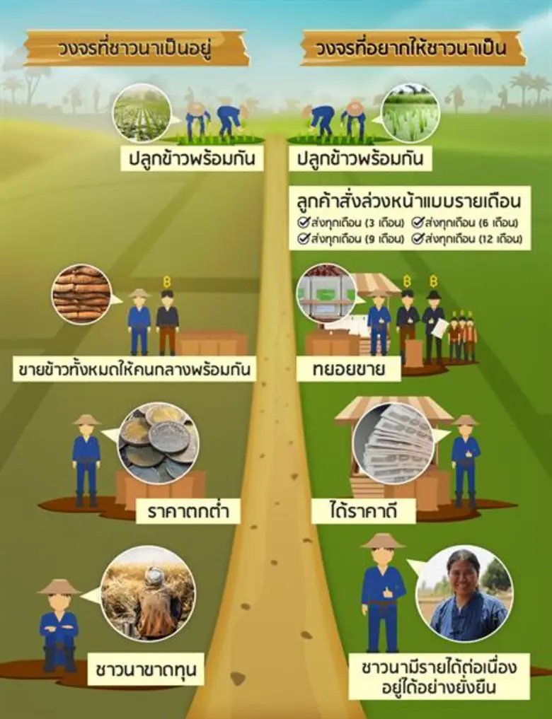 โครงการฟาร์มจริงใจ โครงการที่ช่วยให้ชาวนา...