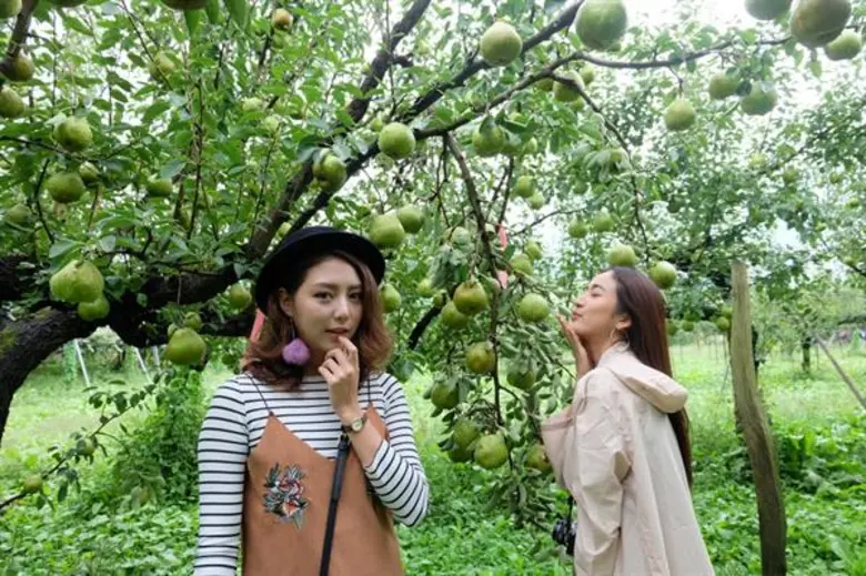 ทีวีไกด์: รายการ “Japan Sweets ภารกิจพิชิตหวาน” “มิว – อาย” ตามหาผลไม้เด็ด ซิกเนเจอร์แห่งเมืองยามากาตะ  ใน Japan Sweets ภารกิจพิชิตหวาน
