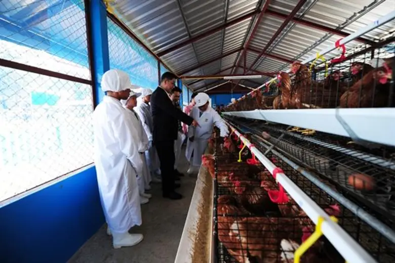 'โครงการเลี้ยงไก่ไข่เพื่ออาหารกลางวันนักเรียน' ส่งมอบอาหารคุณภาพดีถึงมือน้องๆชาวเขา