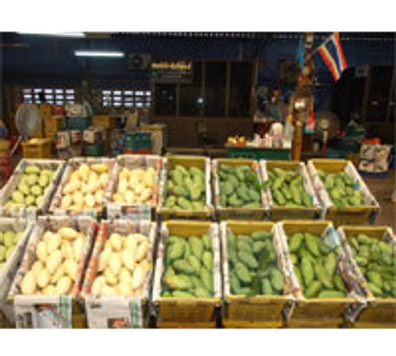 ตลาดกลางราชบุรี ชูสินค้าเกษตรปลอดสารพิษ คุมเข้มผลผลิตเอาใจคนรักสุขภาพ