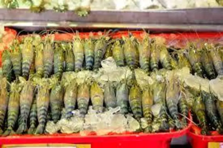 ตลาดกลางสัตว์น้ำ สหกรณ์ประมงแม่กลอง จับทิ...