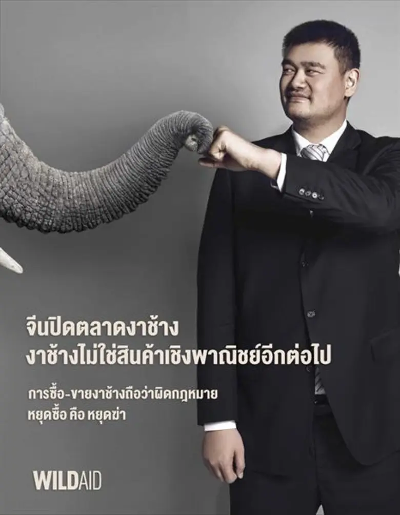 ประเทศจีน ซึ่งเป็นตลาดค้างาช้างผิดกฎหมายที่ใหญ่ที่ส...