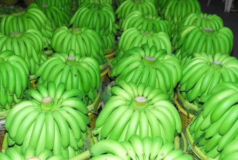 ตลาดกลางหัวอิฐ จ.นครศรีธรรมราช แหล่งการค้าสินค้าเกษตรใหญ่ที่สุดในแดนใต้ รายได้งามกว่า 3,000 ล้านบาทต่อเดือน