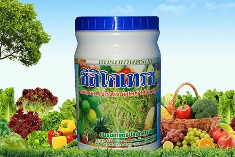 ชมรมเกษตรปลอดสารพิษ ภายใต้บริษัท ไทยกรีน ...