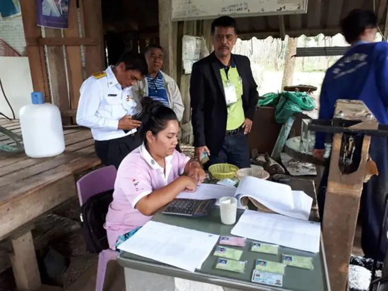 การยางแห่งประเทศไทย ชี้แจงการรับซื้อยางโค...