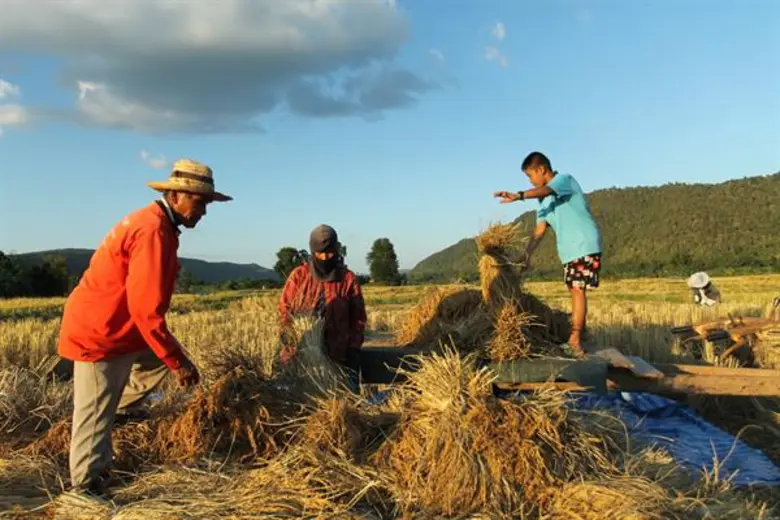 'ด่านซ้าย’ ผุด “แผนยุทธศาสตร์การจัดการลุ่มน้ำหมัน” จากงานวิจัย เพื่อแก้ปัญหาการจัดการน้ำทั้งระบบ คาดจะเริ่มใช้เดือนตุลาคม 2561