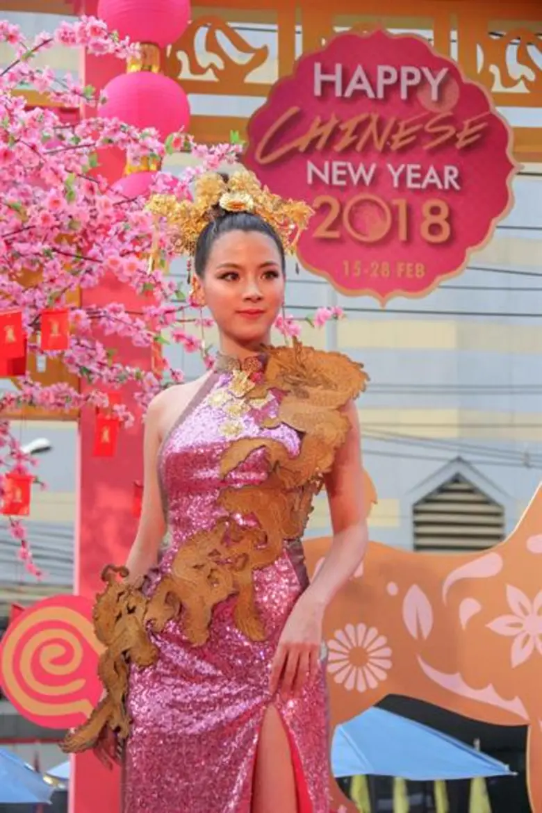 “Happy Chinese New Year 2018”