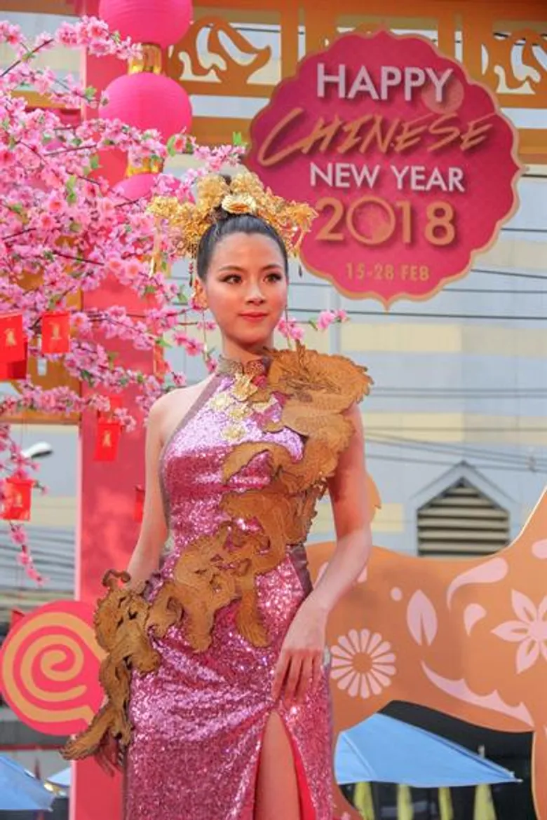 “Happy Chinese New Year 2018”