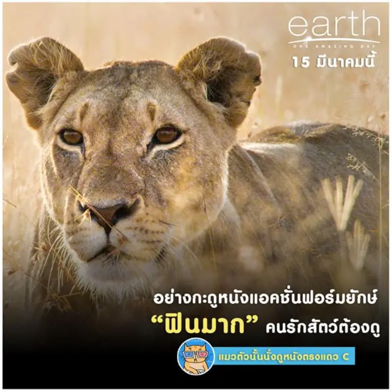 earth : One Amazing Day เอิร์ธ 1 วันมหัศจรรย์สัตว์โ...