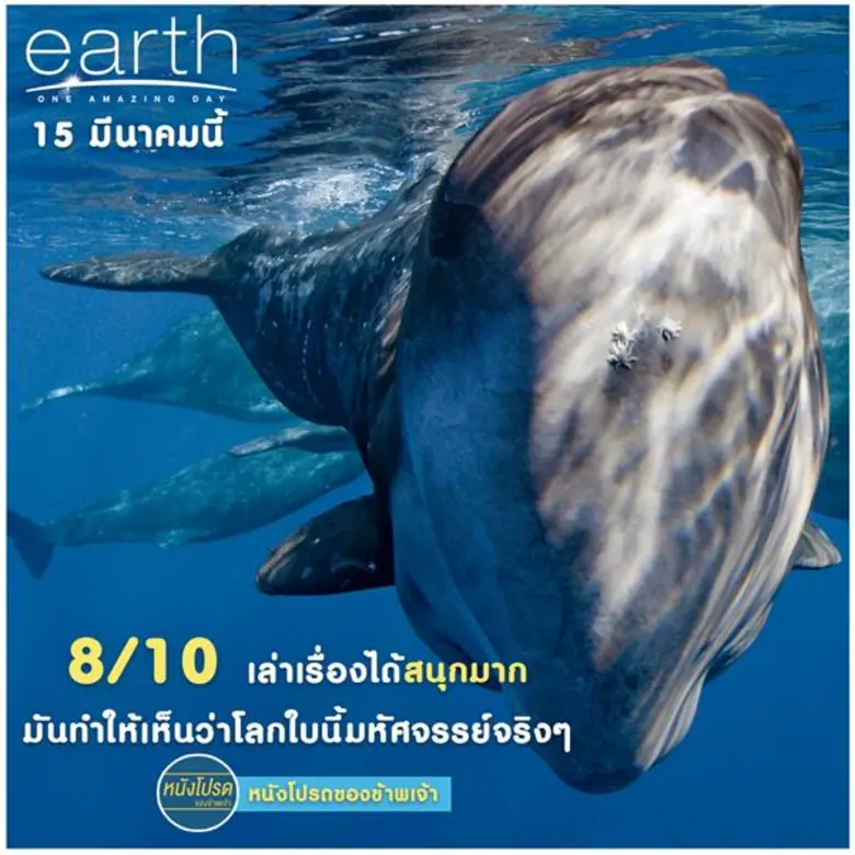 earth : One Amazing Day เอิร์ธ 1 วันมหัศจรรย์สัตว์โลก กวาดคะแนนรีวิวเต็ม 100 โดนใจผู้ชมทุกเพศทุกวัย
