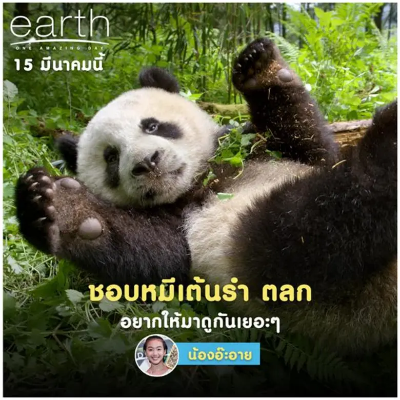 earth : One Amazing Day เอิร์ธ 1 วันมหัศจรรย์สัตว์โลก กวาดคะแนนรีวิวเต็ม 100 โดนใจผู้ชมทุกเพศทุกวัย