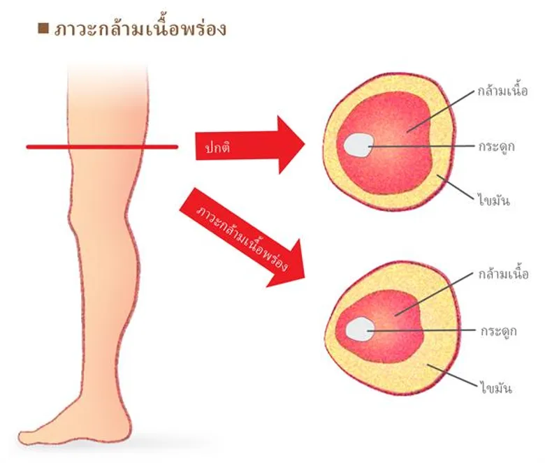 บริษัท Ajinomoto Co. จะสามารถส่งต่อวิถีชีวิตยืนยาวแบบญี่ปุ่นได้หรือไม่?
