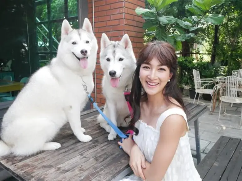 Gossip News: “แพนเค้ก – เขมนิจ” ควง “ชีสเค้ก – คัพเค้ก” น้องหมาไซบีเรียนคู่ใจ เดินแฟชั่นโชว์สุดกิ๊บเก๋
