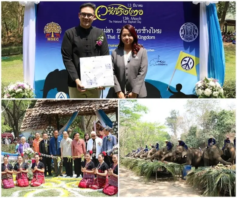 ภาพข่าว: รพ.ลานนา ร่วมงานวันช้างไทย ปี2561