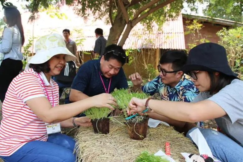 “Organic D.I.Y. ทำได้ ปลูกเป็น” เวิร์คช็อปเพื่อสุขภาพ ตอบโจทย์ชีวิตคนเมือง