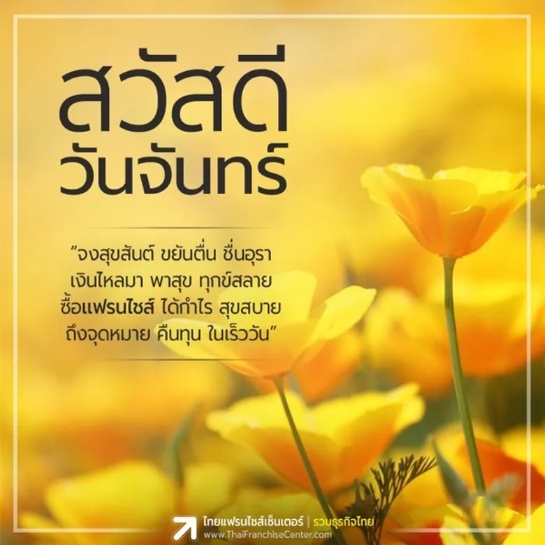 แจกฟรี! รูปดอกไม้ประจำวัน อวยพรใน LINE by ThaiFranchiseCenter