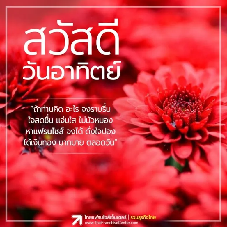 แจกฟรี! รูปดอกไม้ประจำวัน อวยพรใน LINE by ThaiFranchiseCenter