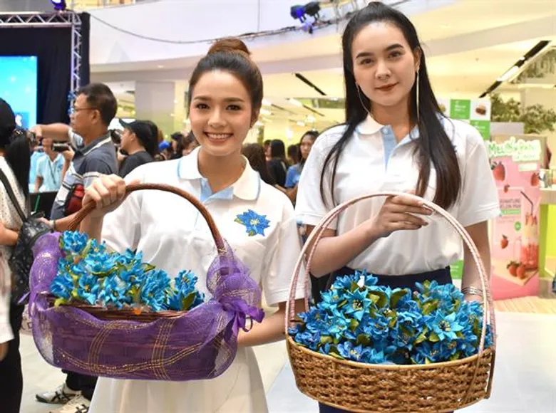 ต้นข้าว-เพลง อาร์สยาม ร่วมจำหน่ายดอกแก้วกัลยา หารายได้ช่วยเหลือคนพิการ
